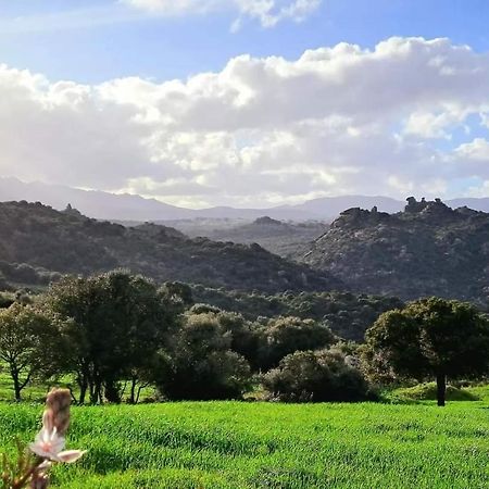 Casa Verdi Telti Exteriér fotografie